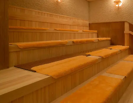 Automatische Löyly-Sauna 1