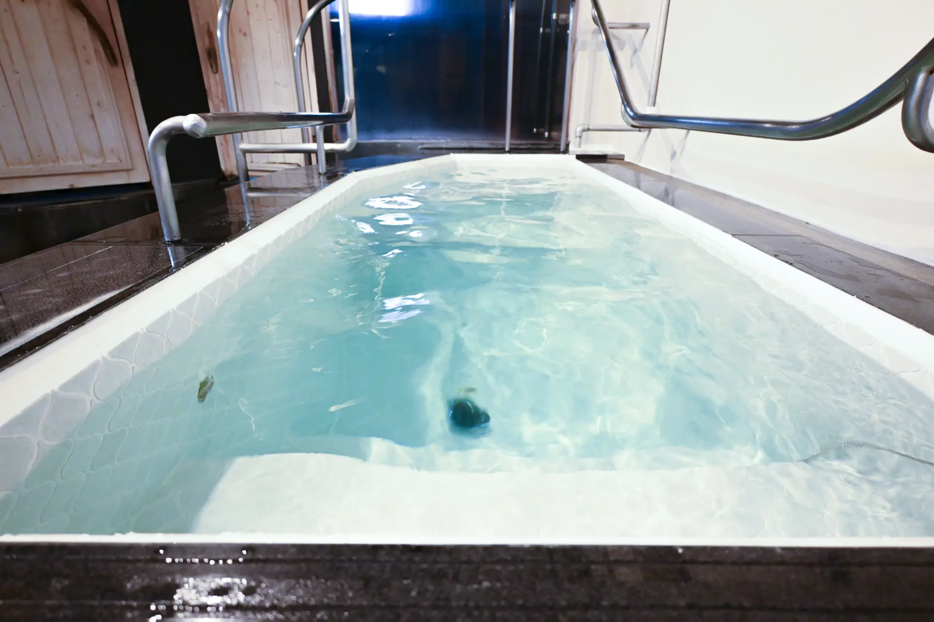 Extreme cold plunge bath 1