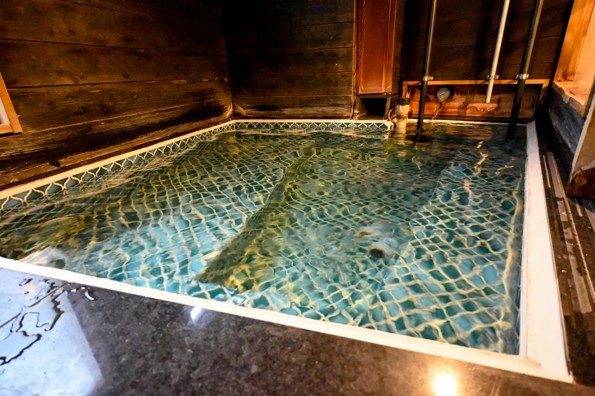 Mild cold plunge bath (in the Forest Sauna) 1