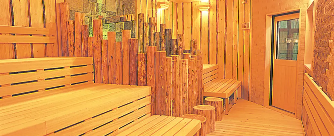 Rocky Sauna 1