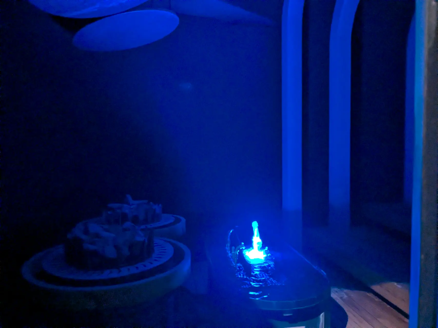 Whale Sauna